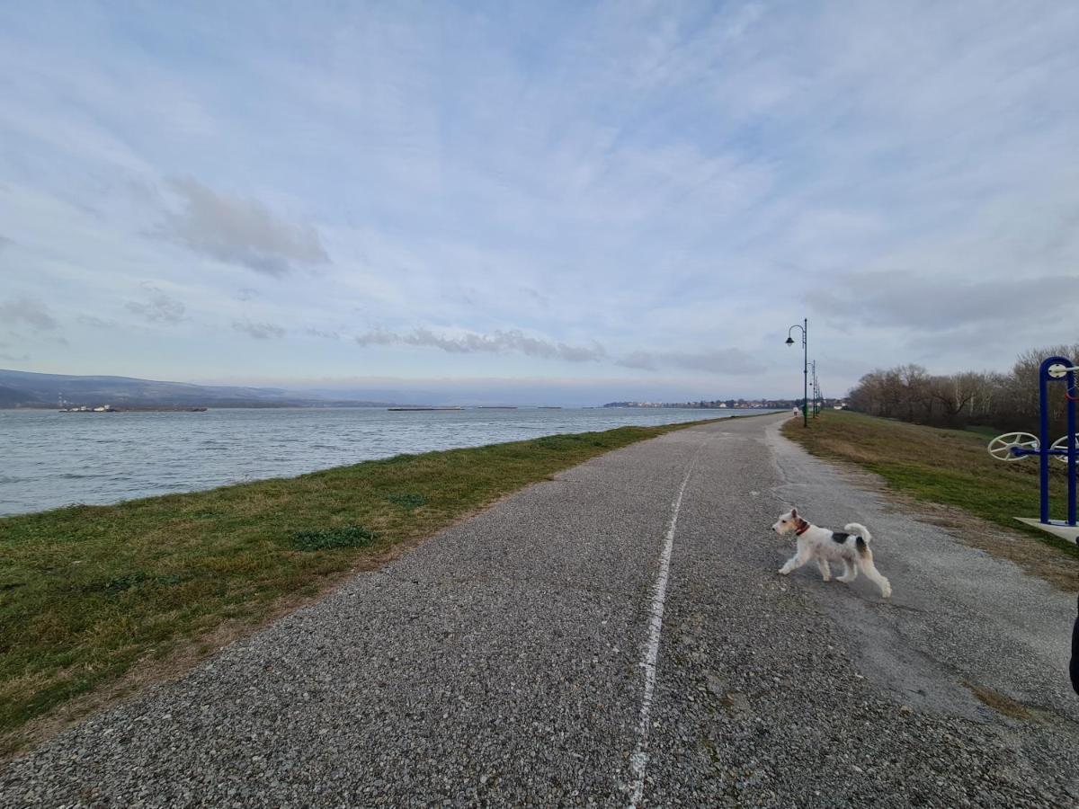 Andjelka A26 Veliko Gradište Exterior foto